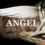 Angel wings