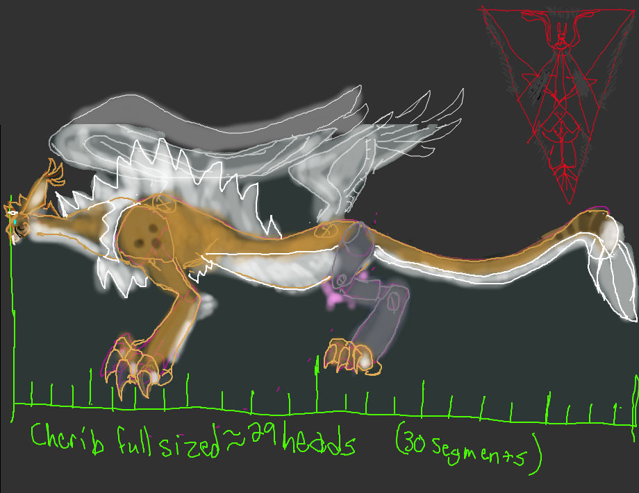 Cherib full sized feral ref by BJbear2001 on DeviantArt