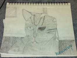 The Ugly Cat that I Drew in Art Class