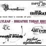 Breathe Today Brushes