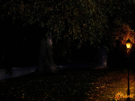 Premade Background :: A Night in the Park