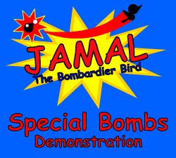 Special Bombs Demonstration