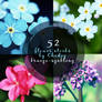 52 Flower Stock Photos