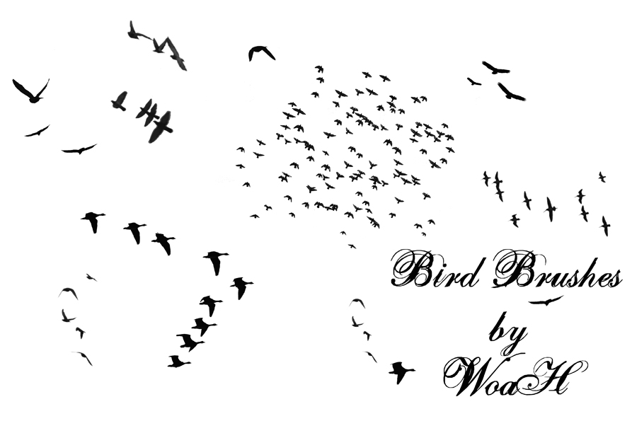 Flying Bird Brushes