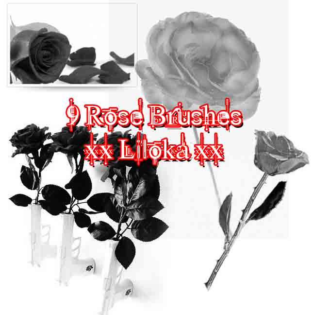 Rose Brushes by superlibbie on DeviantArt