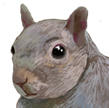 Squirrel Paper Doll