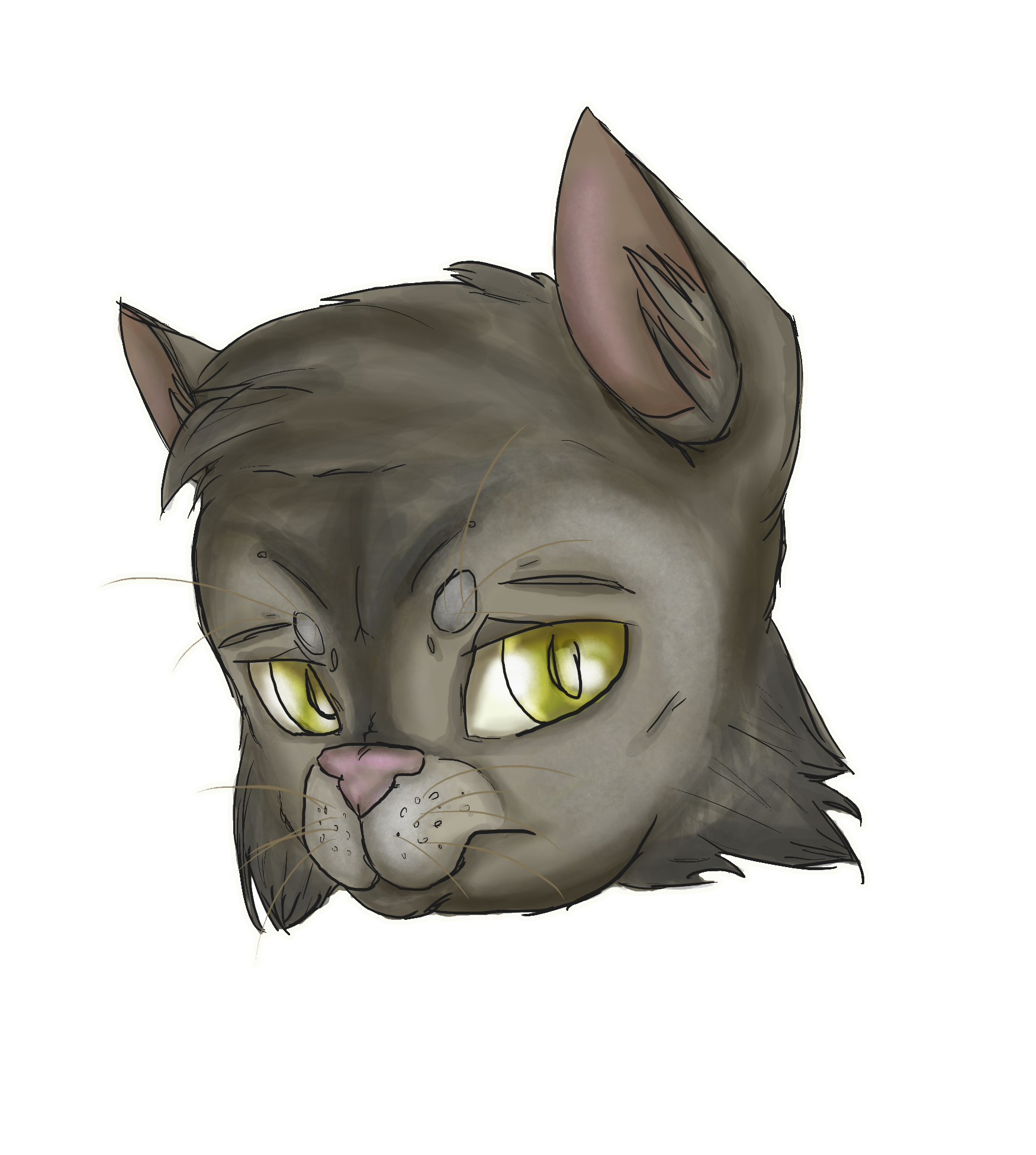 Graystripe Headshot