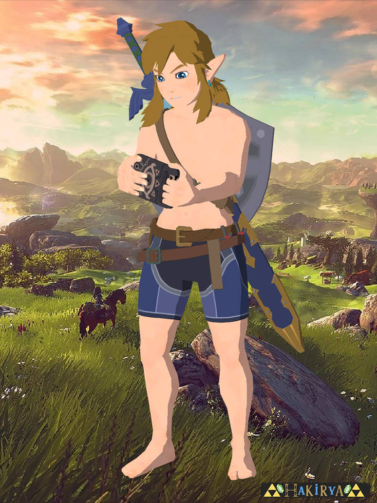 Default Link - Breath of the Wild by Hakirya on DeviantArt