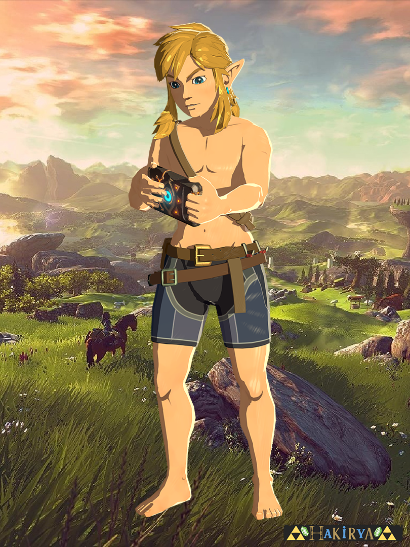 MMD Legend of Zelda - BOTW - Link DL by Pikapika-2000 on DeviantArt