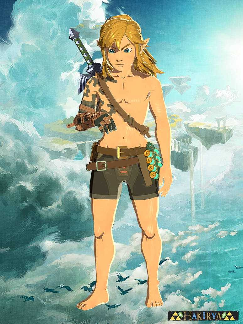 Default Link - Tears of the Kingdom by Hakirya on DeviantArt