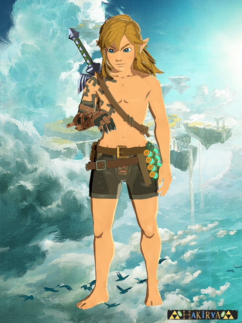 Default Link - Tears of the Kingdom by Hakirya on DeviantArt