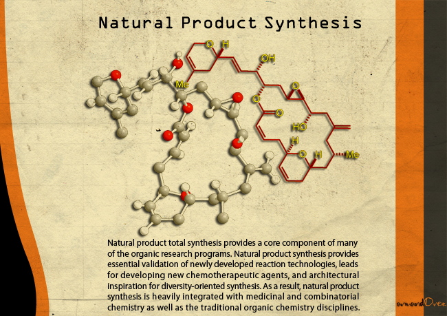 Natural Product Synthesis