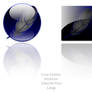 Crow Feather