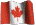 Draft -Multiculturalism in Canada- Editorial