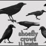 Crow brush set