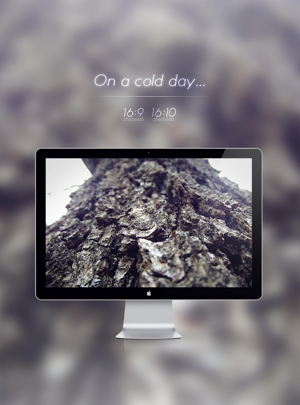 On a cold day... [Wallpaper]