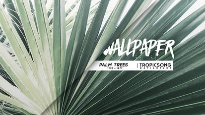 Palm Trees [ wallpaper ]