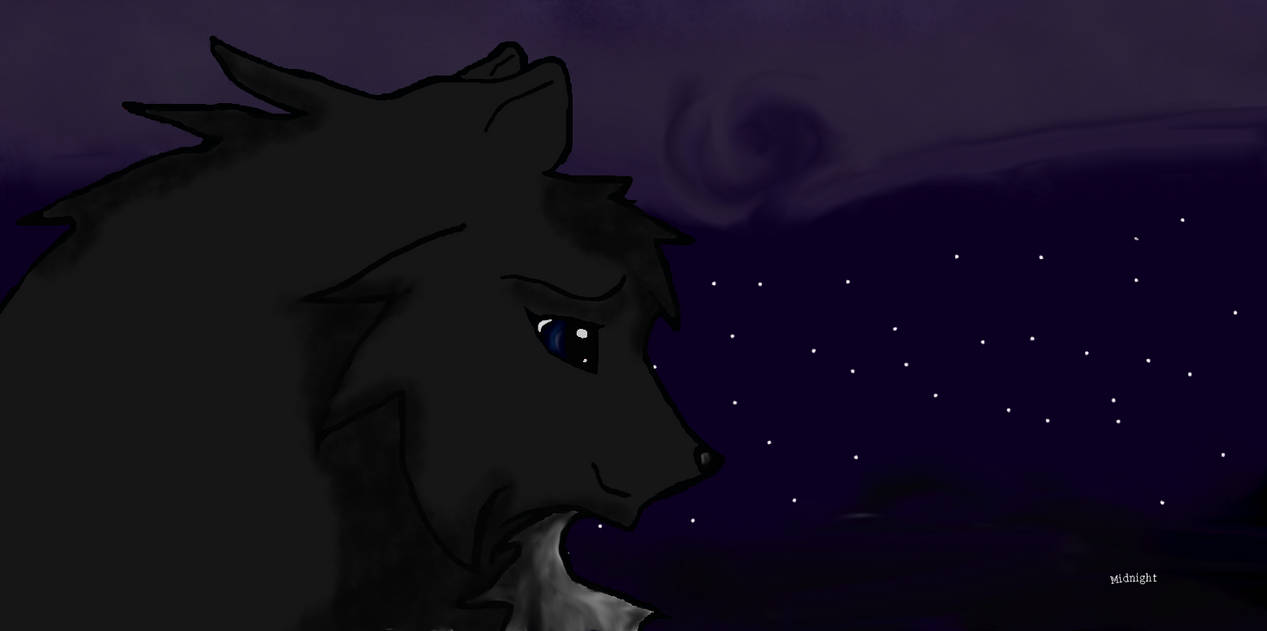 Midnight :3 by WolfPaw862001 on DeviantArt