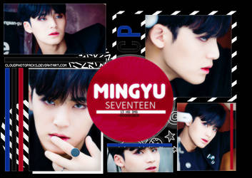 264| MINGYU SEVENTEEN PHOTOPACK