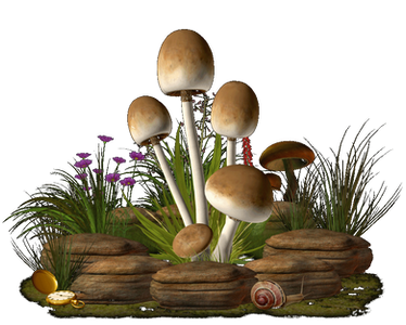 Mushrooms