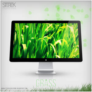 Grass Wallpaper