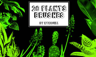 20 Plants brushes by RTRQuill