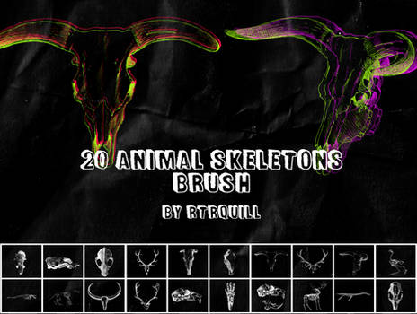 AnimalSkeletons Brushpack byRTRQuill