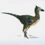 Male Troodon