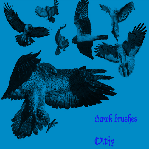 Hawk Brushes by cruel-queen on DeviantArt