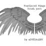 Feathered Wings Brush Pack