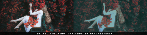 24. PSD Coloring 'Upricing' By Hanchesteria