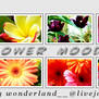 Flower Moodtheme