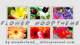 Flower Moodtheme