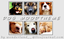 Dog Moodtheme