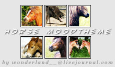 Horse Moodtheme