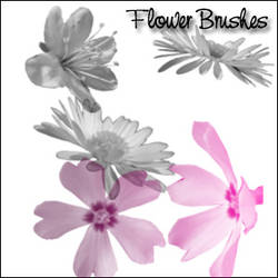 Flower Brushes