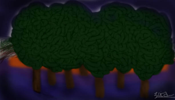 Night Trees