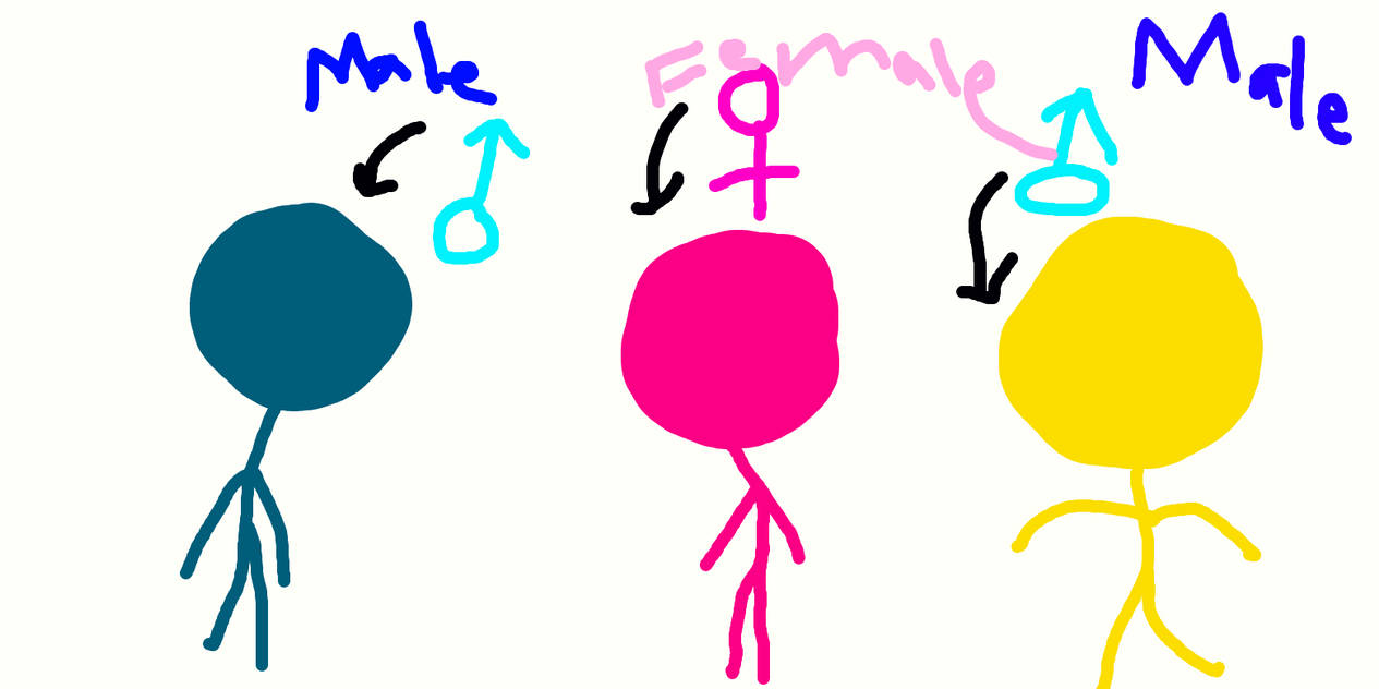Blue X Pink X Yellow by Budgetv on DeviantArt
