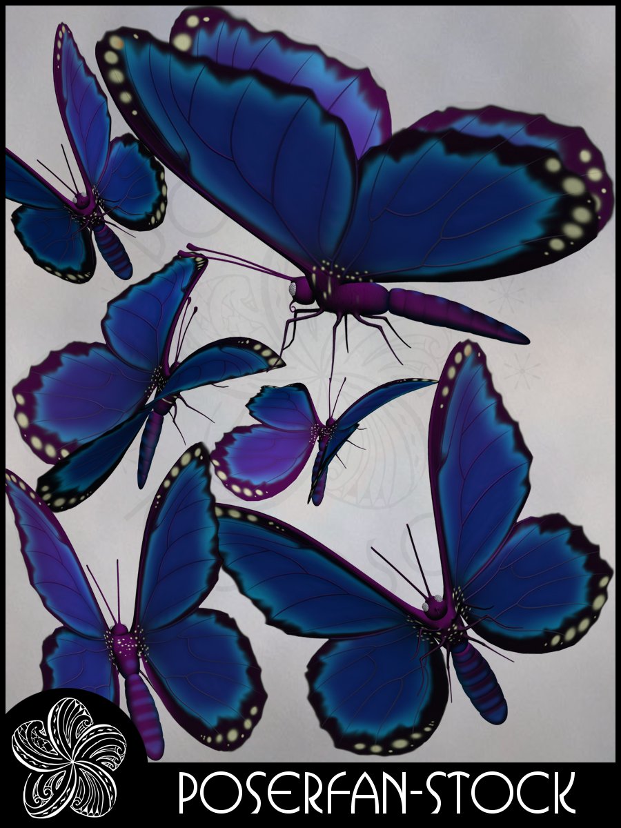 Butterfly 001