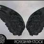 Black Cherub Wings