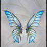 La Butterfly Wings 001