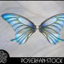 La Butterfly Wings 002
