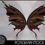 Leather Patchwork Wings 001