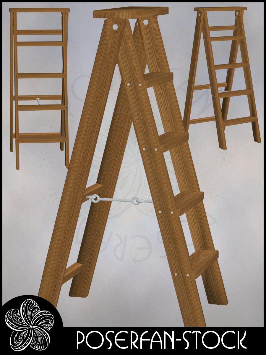 Ladder 003