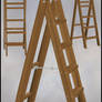 Ladder 003