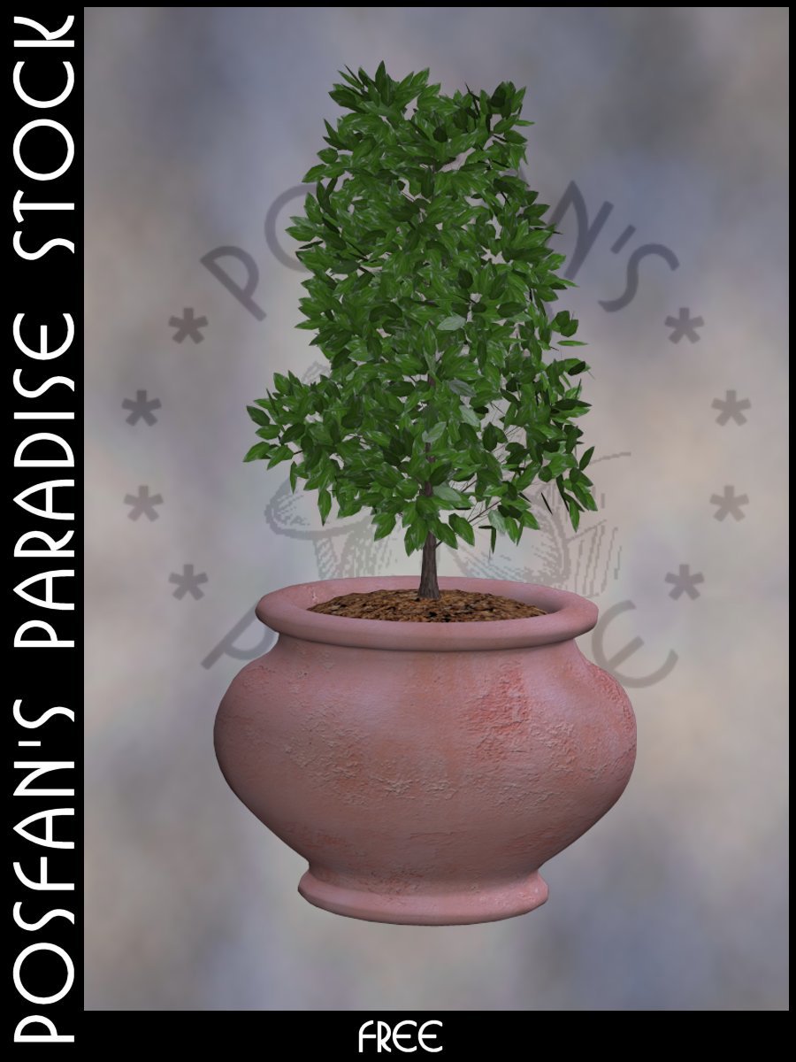 Potted Plants 007