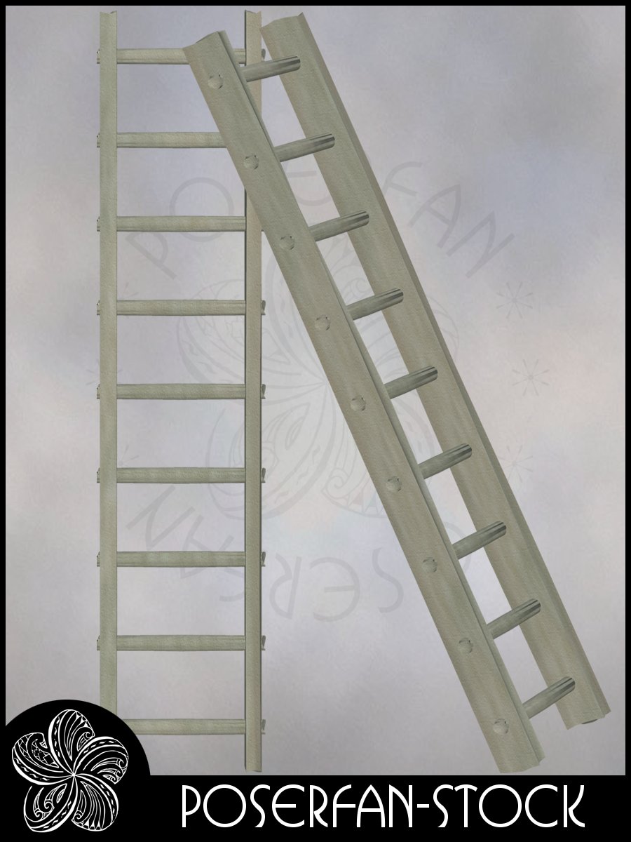 Ladder 001