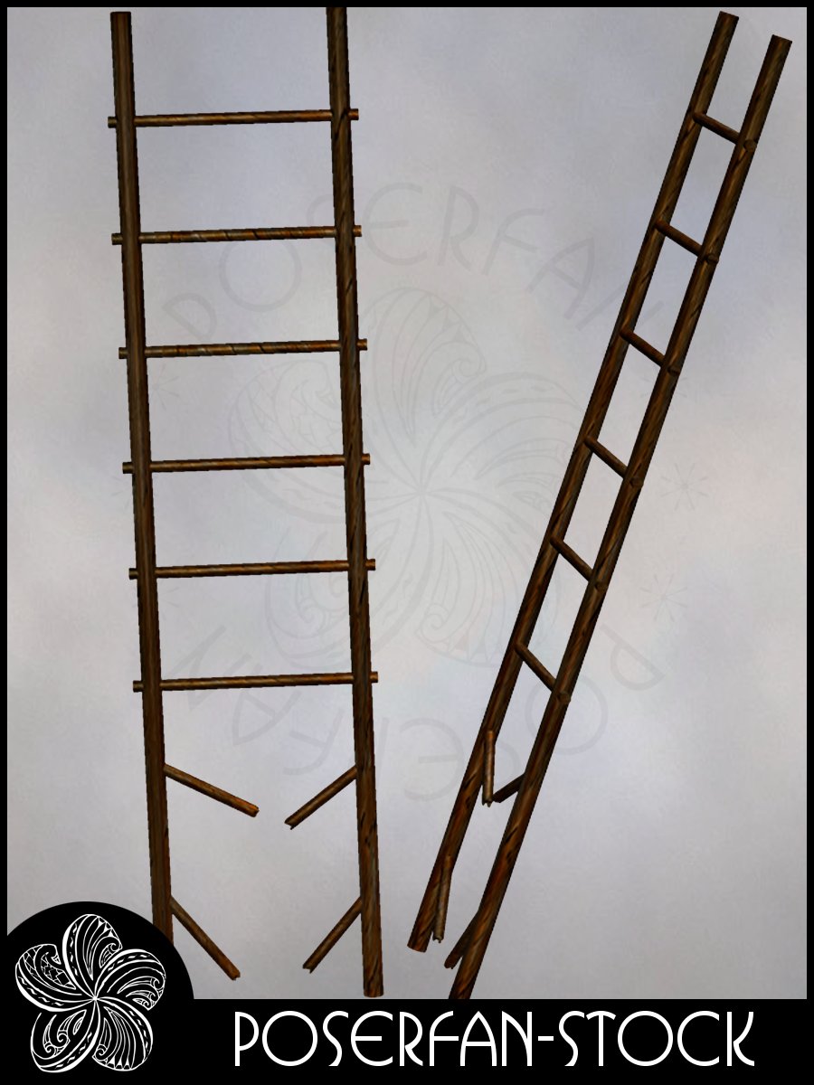 Ladder 002