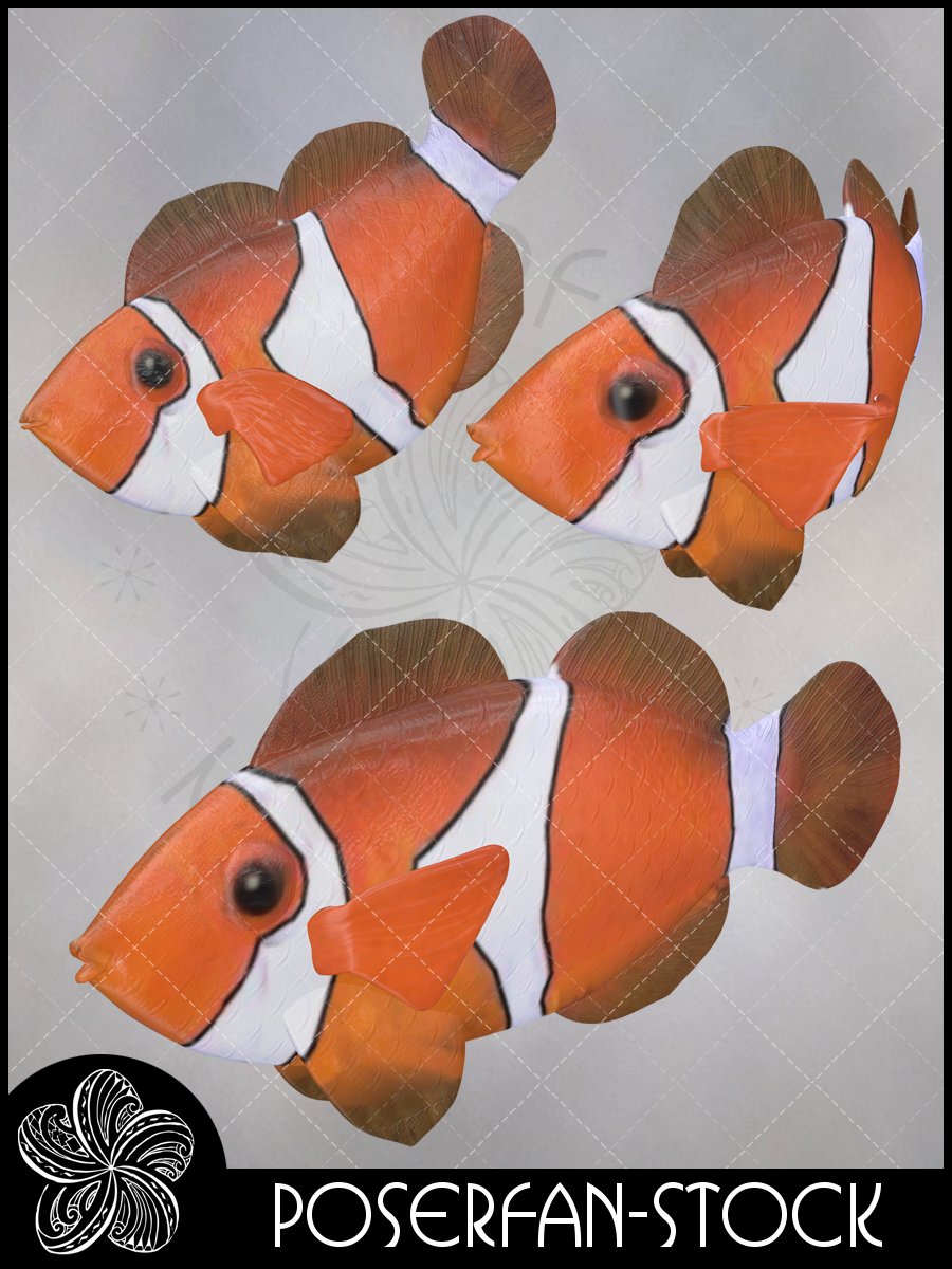 Clownfish