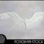 Angel Wings 001